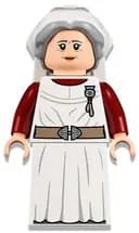Minifigurka: HP325:  Madam Poppy Pomfrey