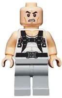Minifigurka: SH0192:  Rhino
