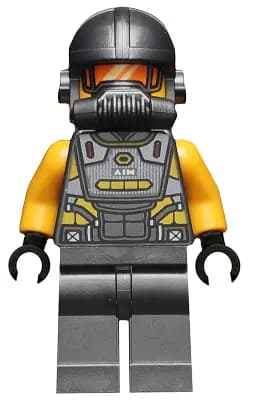 SH0624:  AIM Agent
