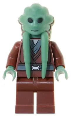 SW0163:  Kit Fisto