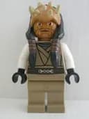 Minifigurka: SW0332:  Eeth Koth