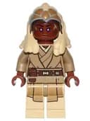 Minifigurka: SW0469:  Stass Allie