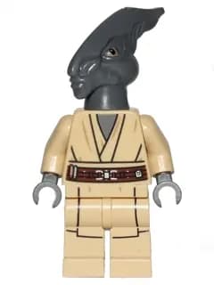 SW0480:  Coleman Trebor