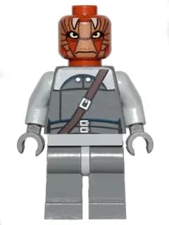 SW0496:  Nikto Guard