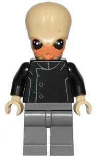 SW0554:  Bith Musician
