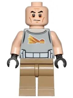 SW0748:  Commander Gregor