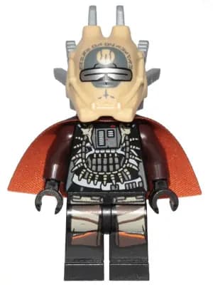 SW0940:  Enfys Nest