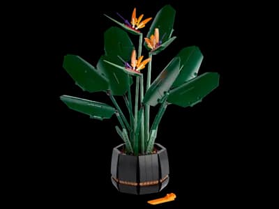 LEGO 10289 Strelicja królewska