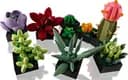 LEGO 10309 Sukulenty — 5
