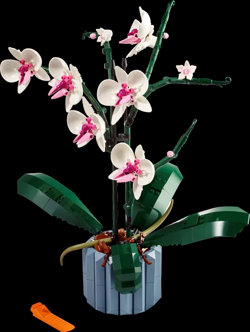 LEGO 10311 Orchidea