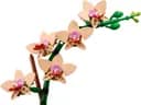 LEGO 10343 Mała orchidea — 4
