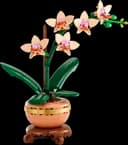 LEGO 10343 Mała orchidea — 1