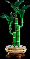 LEGO 10344 Dracena sandera — 1