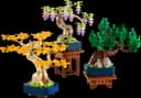 LEGO 10373 Małe drzewka bonsai — 1
