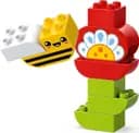 LEGO 10444 Kreatywny ogród i kwiaty — 3