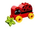 LEGO 10859 Moja pierwsza biedronka — 1
