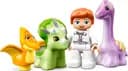 LEGO 10938 Dinozaurowa szkółka — 7