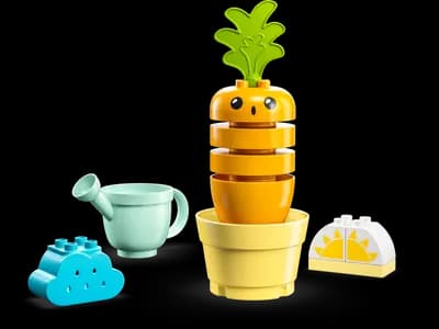 LEGO 10981 Rosnąca marchewka