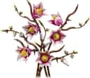 LEGO 11510 Gałązki magnolii — 1