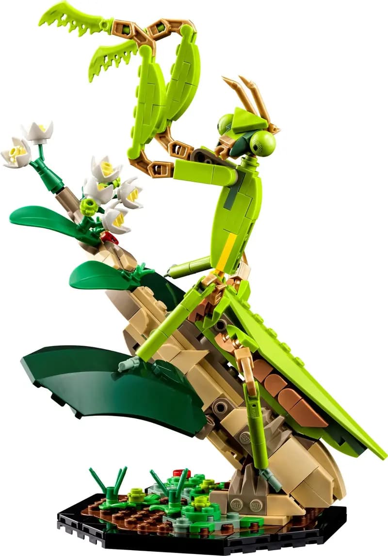 LEGO 21342 Kolekcja owadów