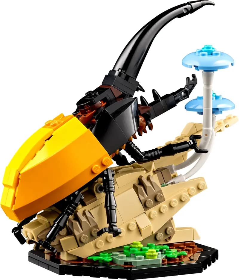 LEGO 21342 Kolekcja owadów