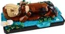 LEGO 21366 Pływające wydry — 1