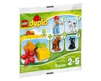 LEGO 30067 Farm - Random Bag