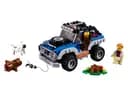 LEGO 31075 Zabawy na dworze — 1