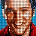 LEGO 31204 Elvis Presley „Król” — 5