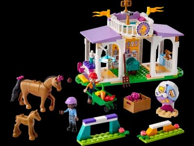 LEGO 41746 Szkolenie koni