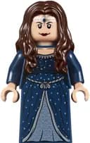 LEGO 71043 Zamek Hogwart — 44