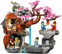 LEGO 71819 Świątynia Smoczego Kamienia — 4