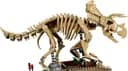 LEGO 77985 Szkielety dinozaurów: triceratops — 4