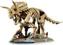 LEGO 77985 Szkielety dinozaurów: triceratops — 5