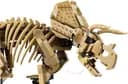 LEGO 77985 Szkielety dinozaurów: triceratops — 6