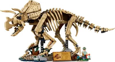 LEGO 77985 Szkielety dinozaurów: triceratops
