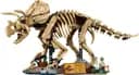 LEGO 77985 Szkielety dinozaurów: triceratops — 1