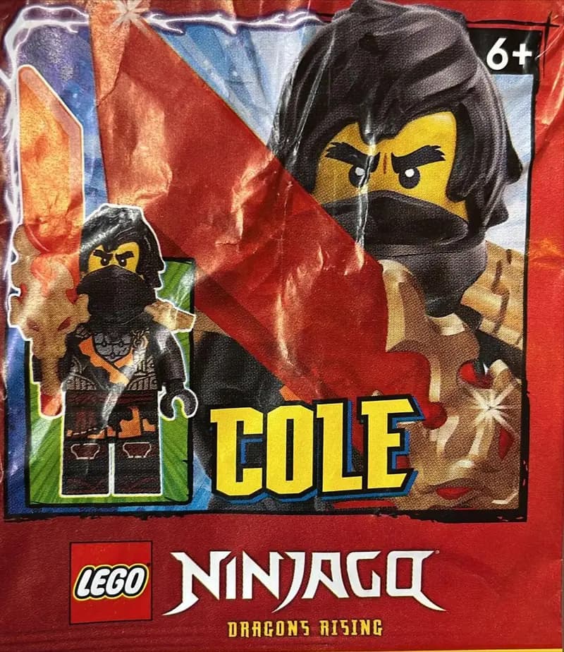 LEGO 892512 Cole