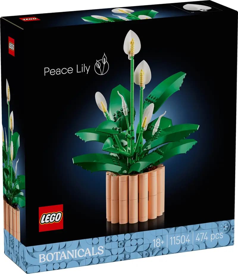 LEGO 11504 Skrzydłokwiat