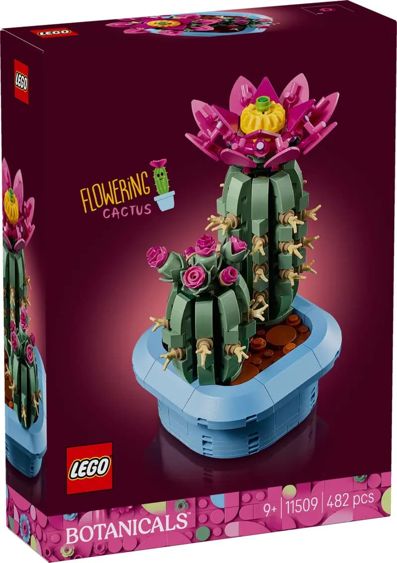LEGO 11509 Kwitnący kaktus