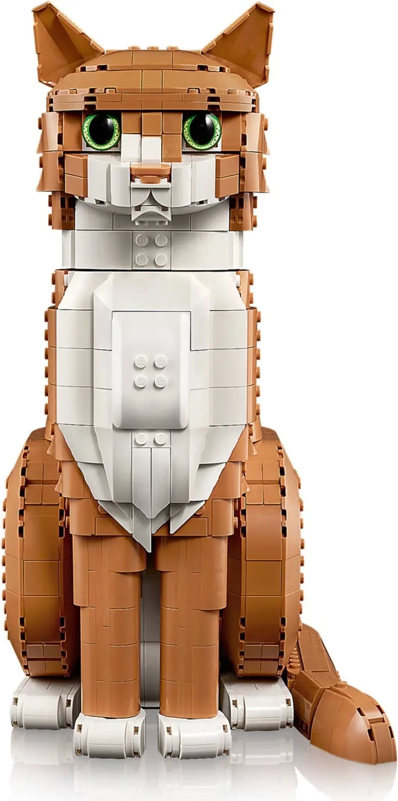 LEGO 21376 Rudy kot