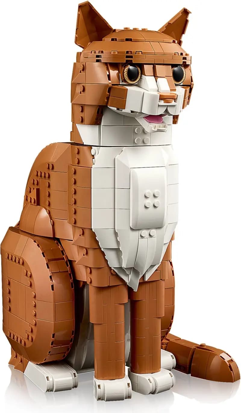 LEGO 21376 Rudy kot