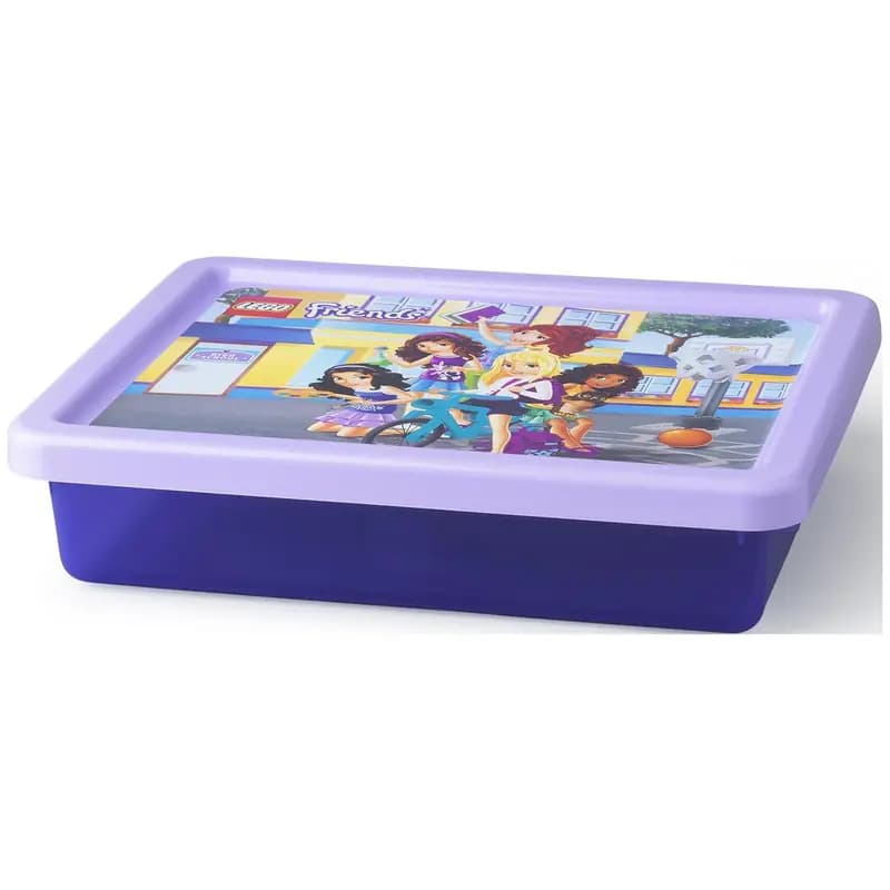 LEGO 40921732 Storage Box Small with Friends Print