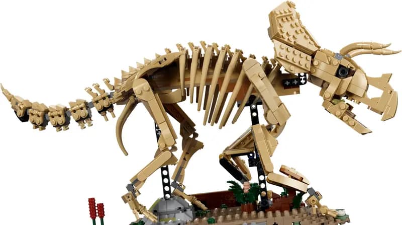 LEGO 77985 Szkielety dinozaurów: triceratops