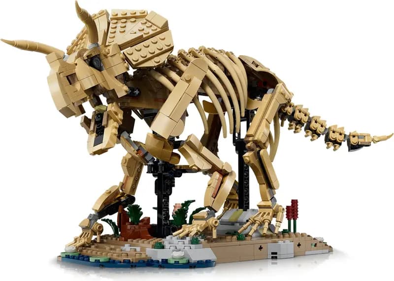 LEGO 77985 Szkielety dinozaurów: triceratops